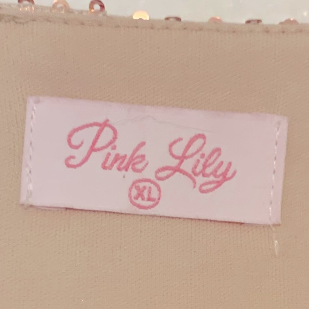Pink Lily Maxi Dress - XL - Picture 5 of 5